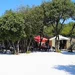 Lisicak * וודניאן