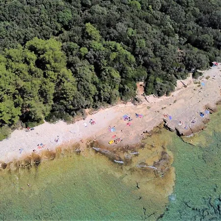 Lisicak Apartamento *